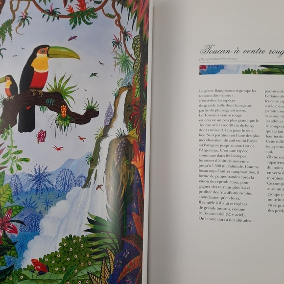 FRENCH BOOK + LITHOGRAPH Signed Alain Thomas Les Oiseaux d'Amerique du Sud Birds - Picture 13 of 14